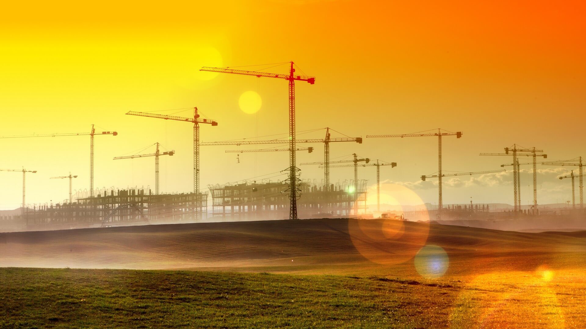A field with many cranes in the background.