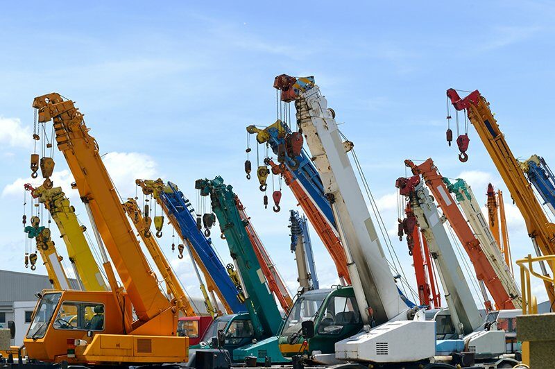 A bunch of cranes are parked in the sun